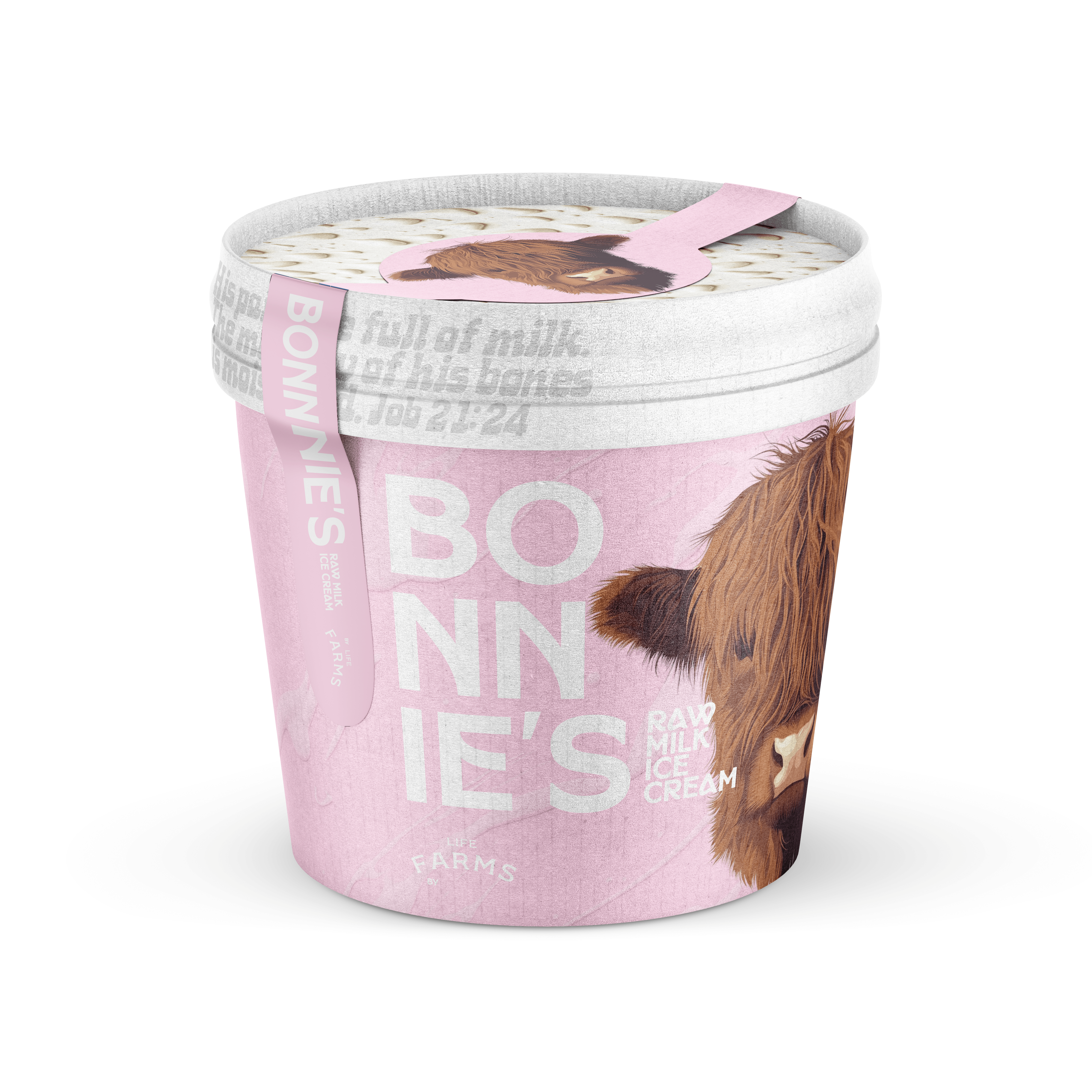 Bonnie's Raw Ice Cream